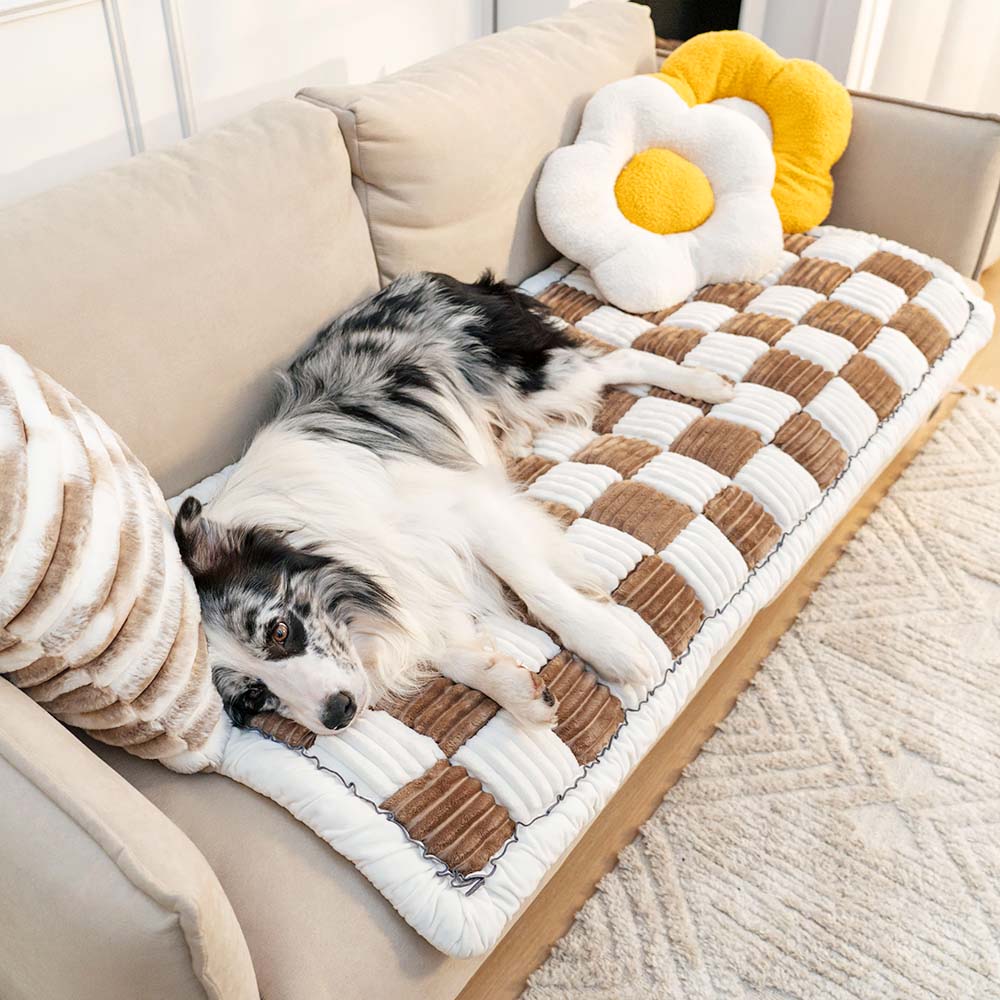 Soft Plush Blanket for Pets and Owners
