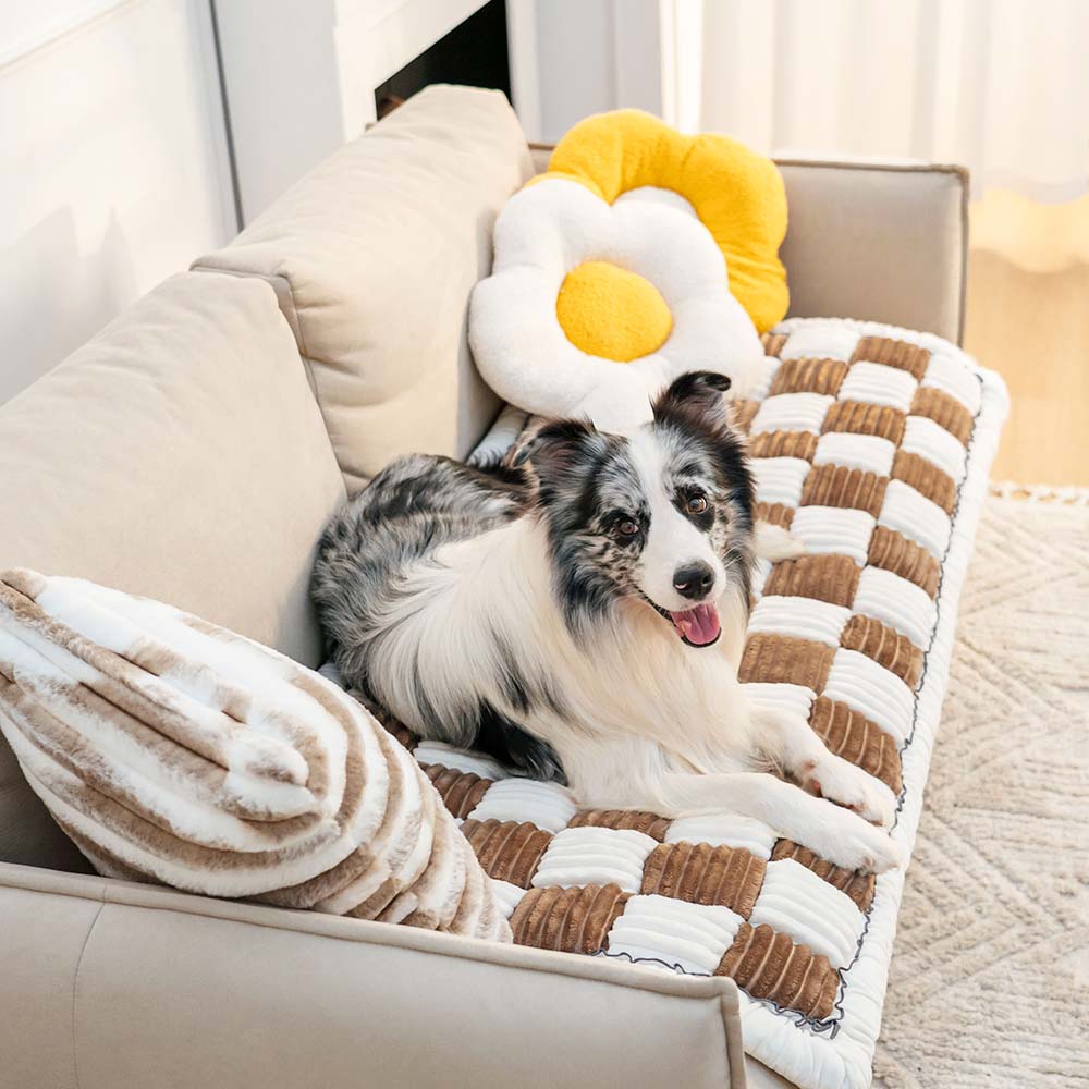 Soft Plush Blanket for Pets and Owners