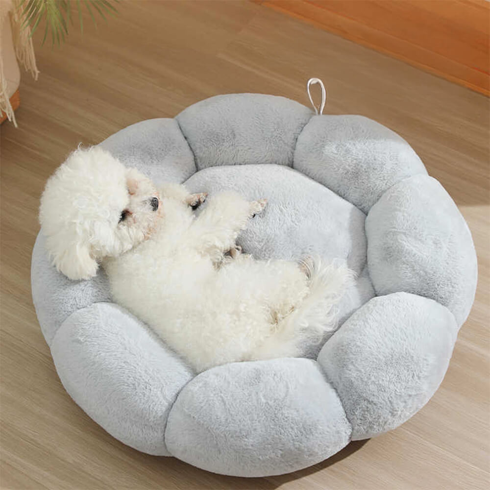 Cozy Floral Orthopedic Pet Bed for Dogs and Cats