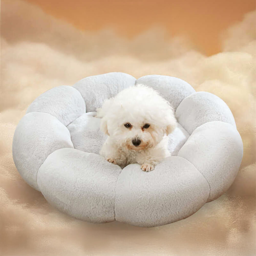 Cozy Floral Orthopedic Pet Bed for Dogs and Cats