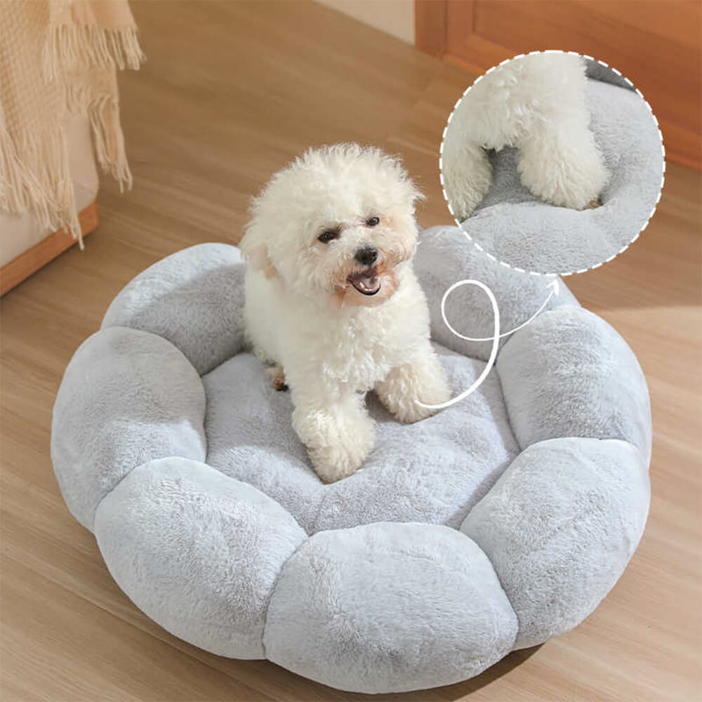 Cozy Floral Orthopedic Pet Bed for Dogs and Cats
