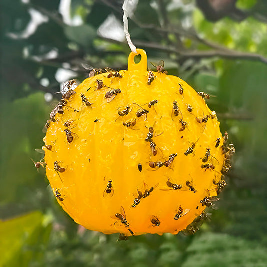 Sticky Insect Catcher with Glue Boards (6 Pack) - Befez