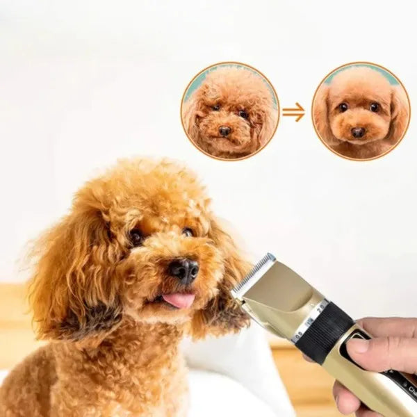 Quiet Pet Grooming Clipper Kit for Dogs - Befez