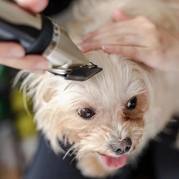 Quiet Pet Grooming Clipper Kit for Dogs
