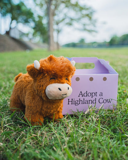 Cuddly Cow Soft Plush Toy