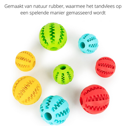 Eco Friendly Durable Dog Toy for Play