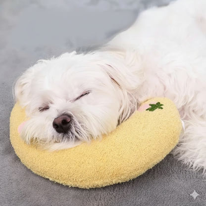 Orthopedic Dog Support Cushion for Back Relief - Befez