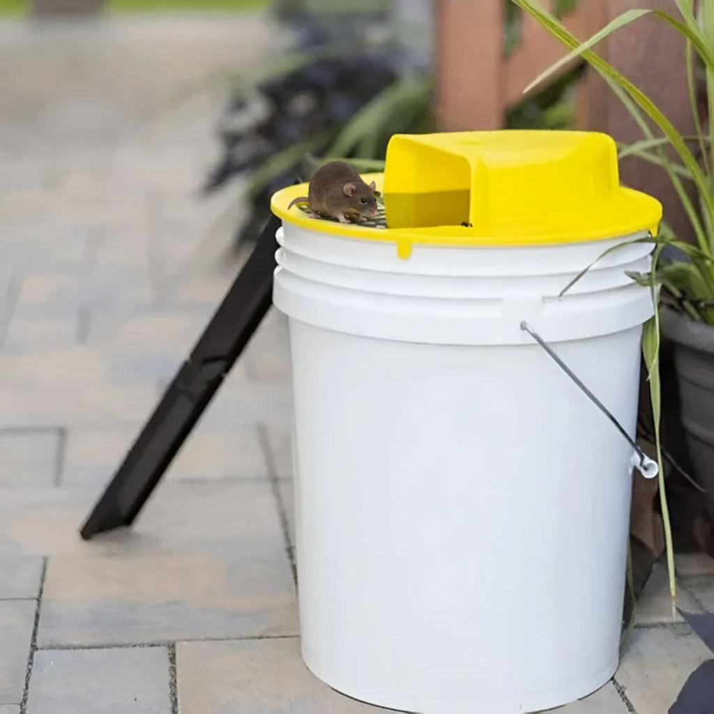 Easy Catch Pet Friendly Automatic Litter Box