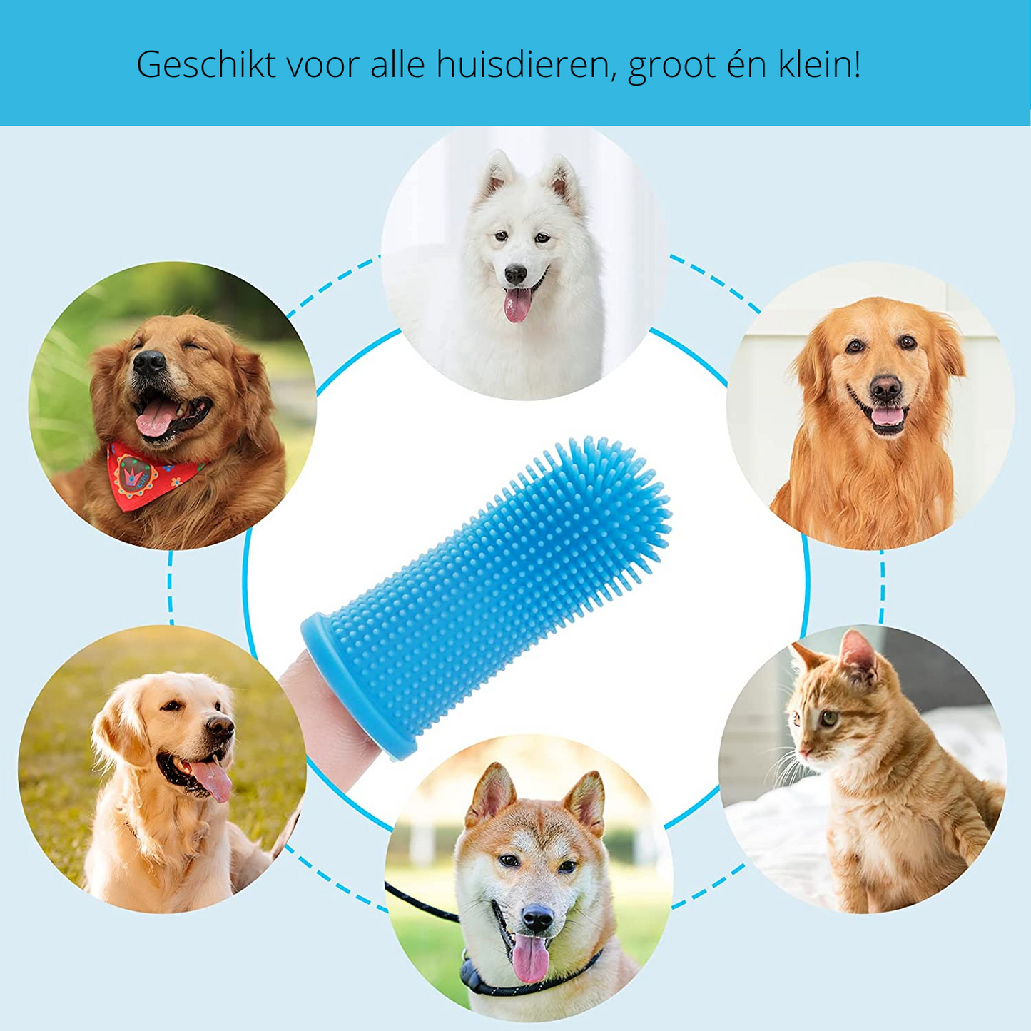 Easy Pet Dental Care Kit for Home Use