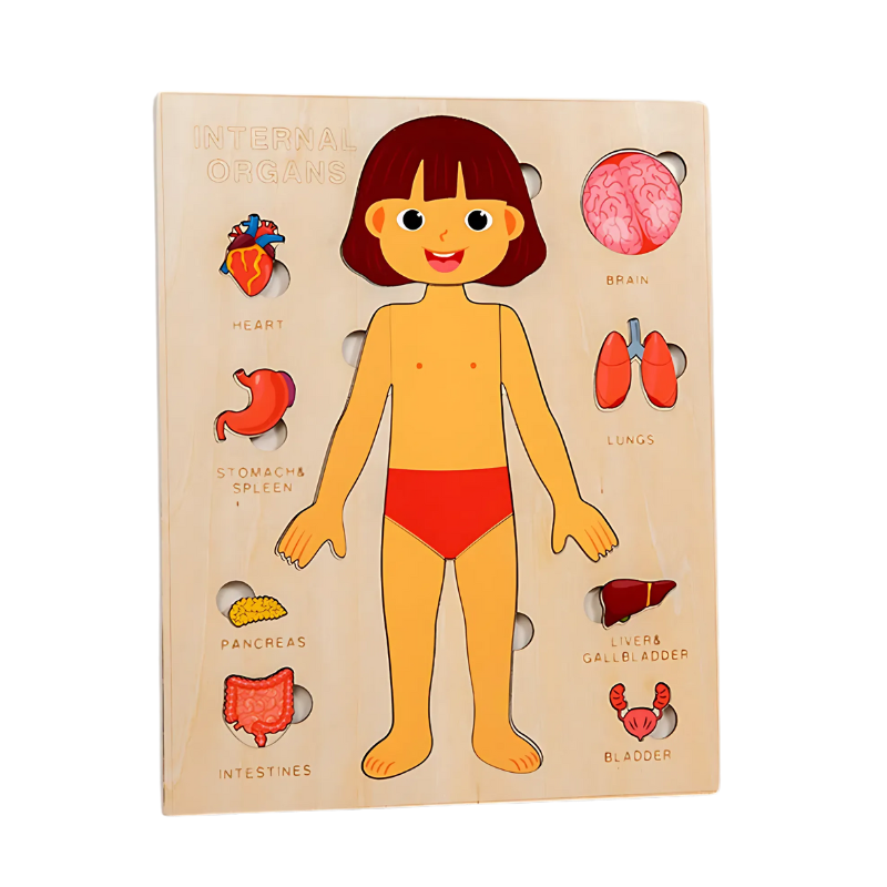 Compact First Aid Kit - Befez