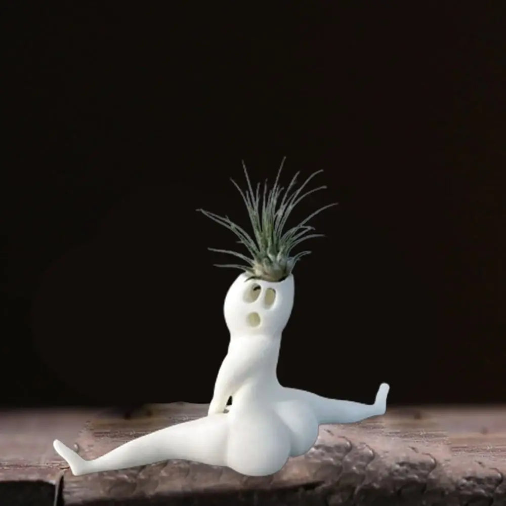 Unique Air Plant Holder Decor