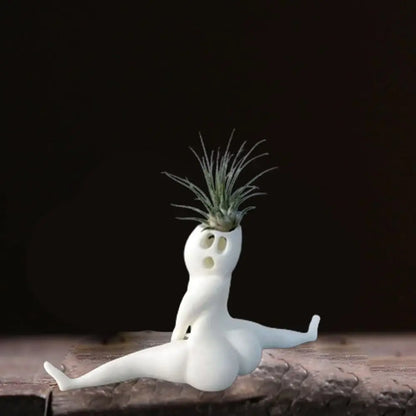 Unique Air Plant Holder Decor
