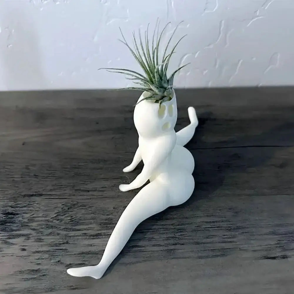 Unique Air Plant Holder Decor