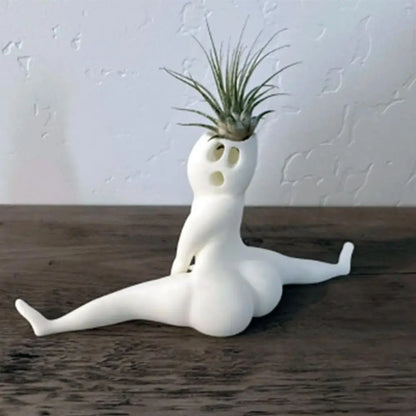 Unique Air Plant Holder Decor