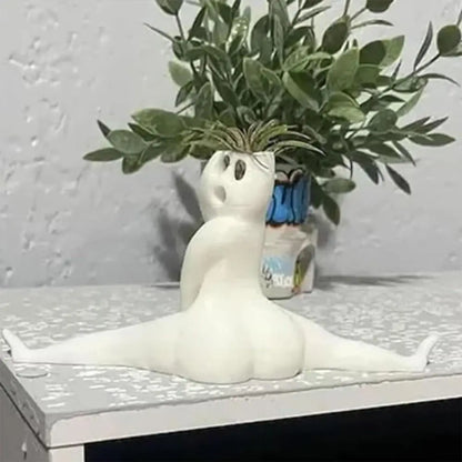 Unique Air Plant Holder Decor