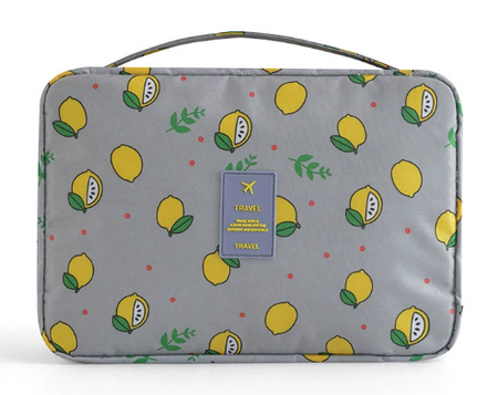 Portable Travel Toiletry Bag with Hook and Padded Protection