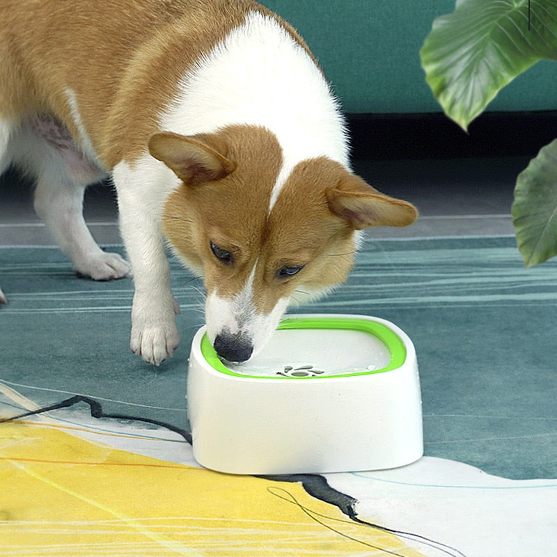 Spill Proof Pet Water Bowl Dispenser