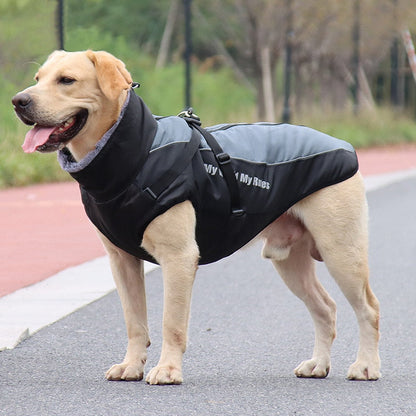 Waterproof Insulated Dog Coats
