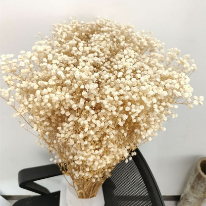 Realistic Air Dried Gypsophila Floral Arrangement - Befez