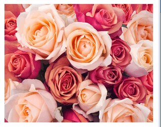 Colorful Floral Art Kit