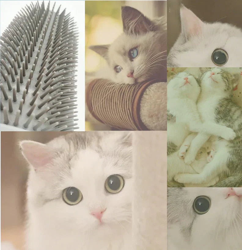 Gentle Cat Grooming Brush Corner – Pet Fur Cleaner