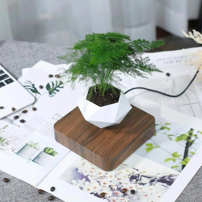 Unique Floating Plant Decor