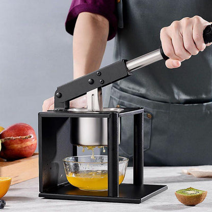 Easy Use Cold Press Juice Extractor - Befez