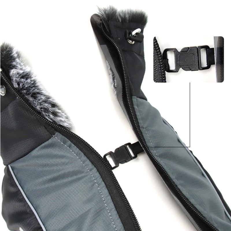 Waterproof Insulated Dog Coats