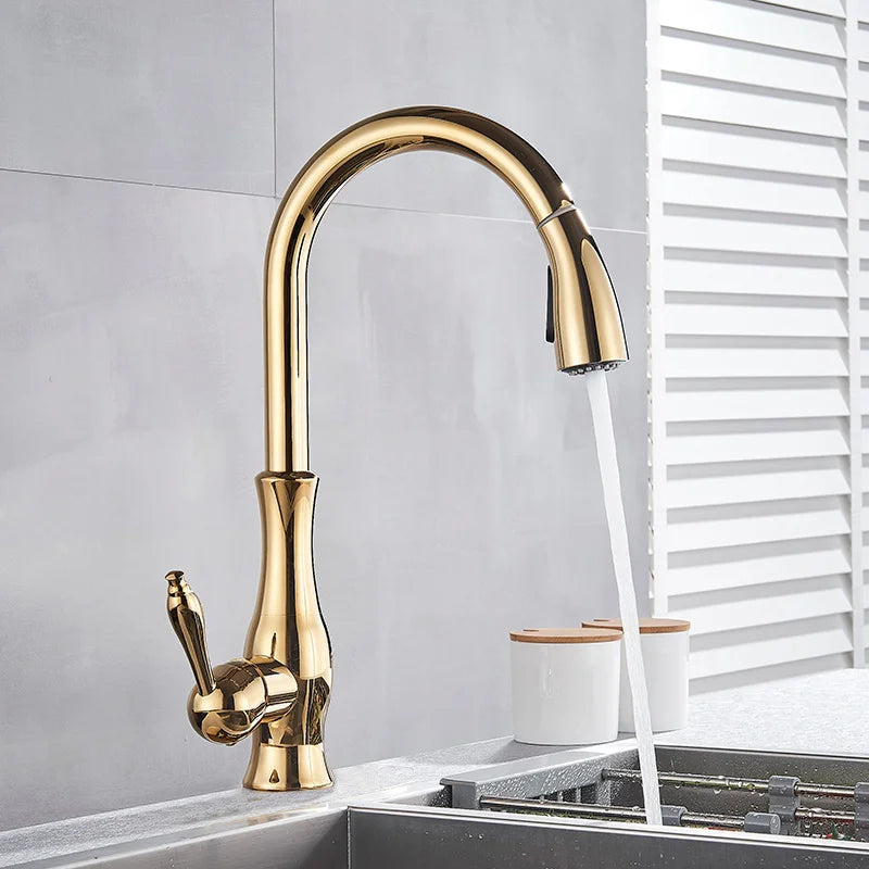 Premium Gold Finish Kitchen Sink Faucet