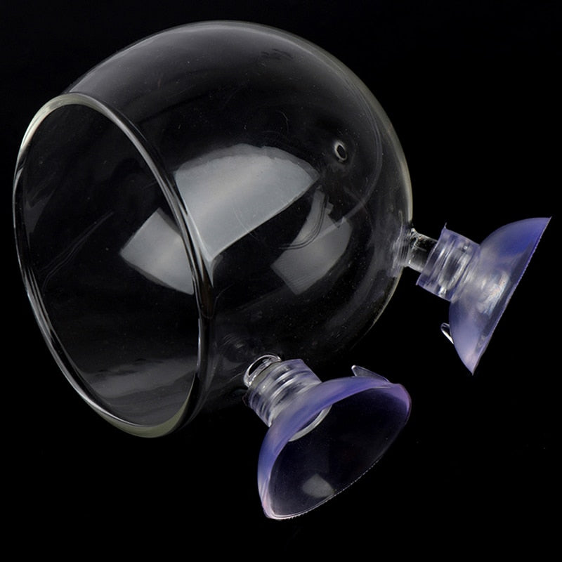 Beautiful Aquarium Glass Fish Tank Decor Vase