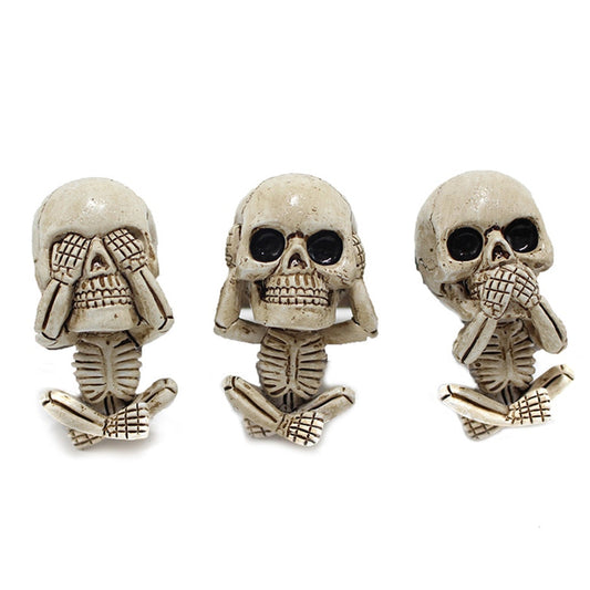 Colorful Floral Skull Car Deodorizer - Befez
