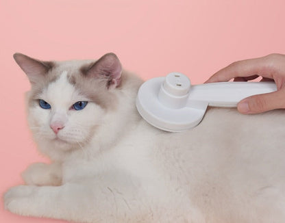 Gentle Pet Grooming Cat Brush Tool - Befez