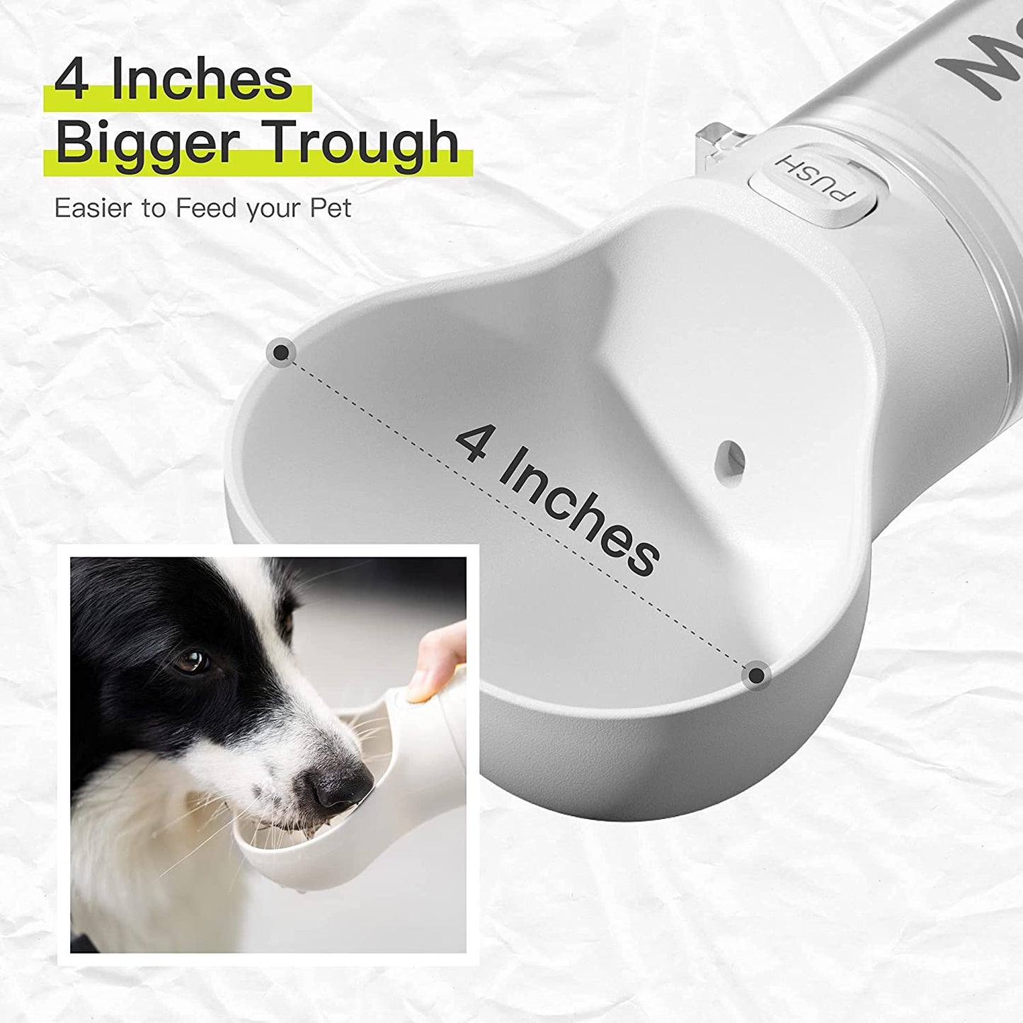 Fun Dog Bone Shaped Water Bottle
