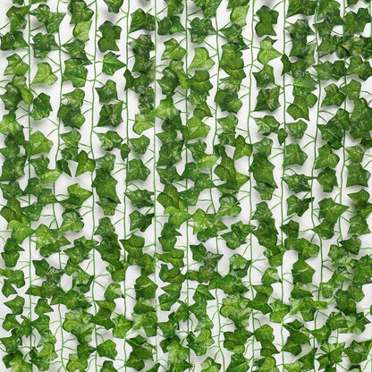 Year Round Fresh Green Indoor Plants - Befez