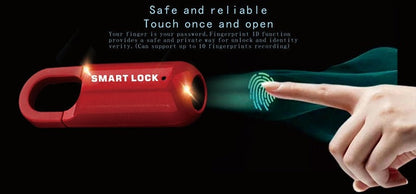 Compact Digital Fingerprint USB Lock Box