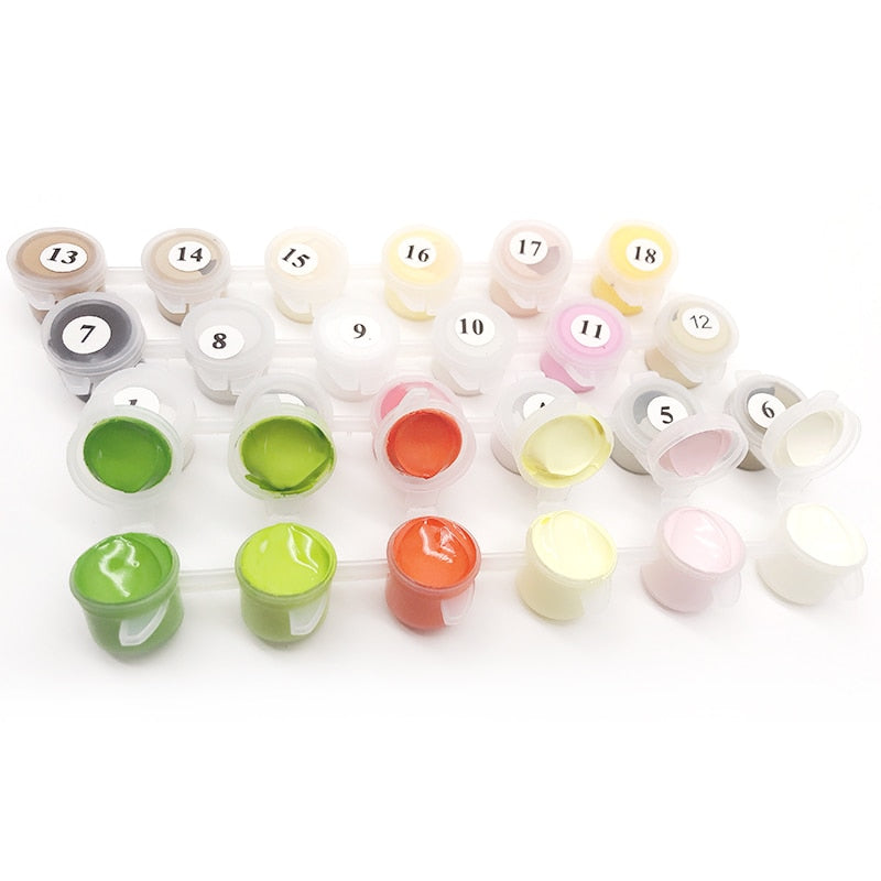 Urban Art Paint by Numbers Kit