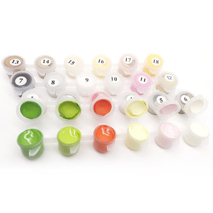 Urban Art Paint by Numbers Kit