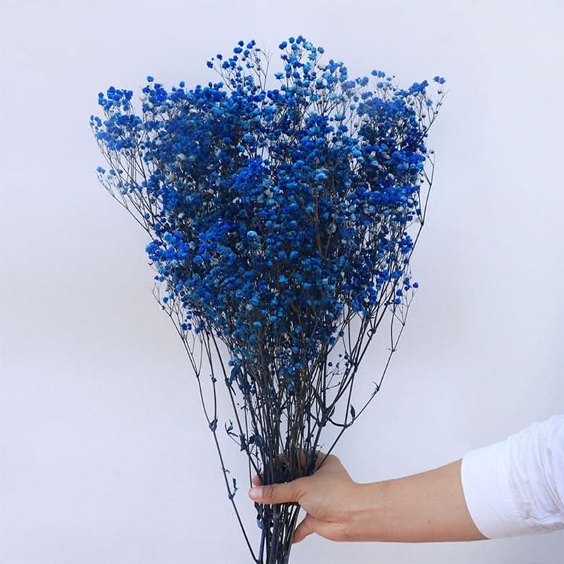 Realistic Air Dried Gypsophila Floral Arrangement