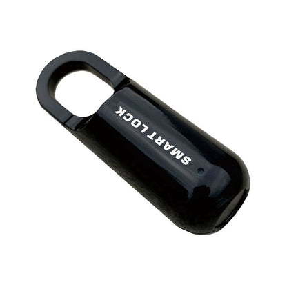 Compact Digital Fingerprint USB Lock Box