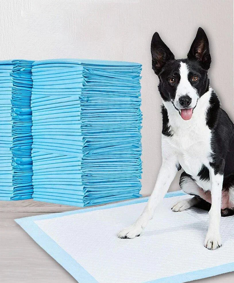 Absorbent Puppy Training Mats