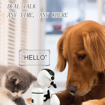 Befez | Smart Home Surveillance Security Camera