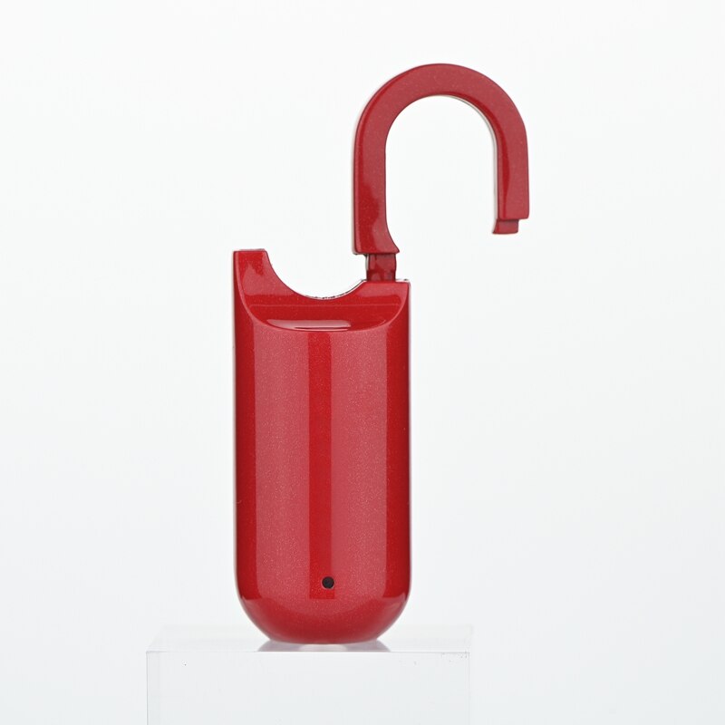 Compact Digital Fingerprint USB Lock Box