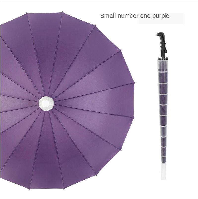 Compact Easy Open Long Handle Umbrella