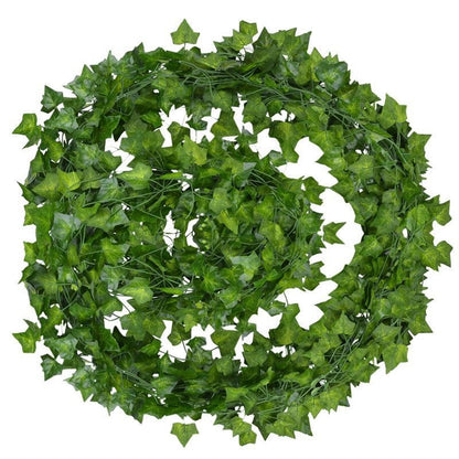 Year Round Fresh Green Indoor Plants