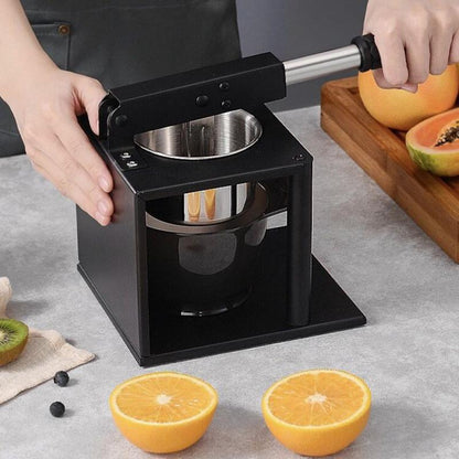 Easy Use Cold Press Juice Extractor