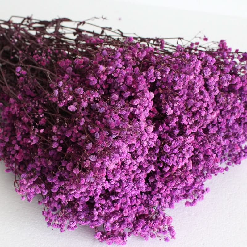 Realistic Air Dried Gypsophila Floral Arrangement