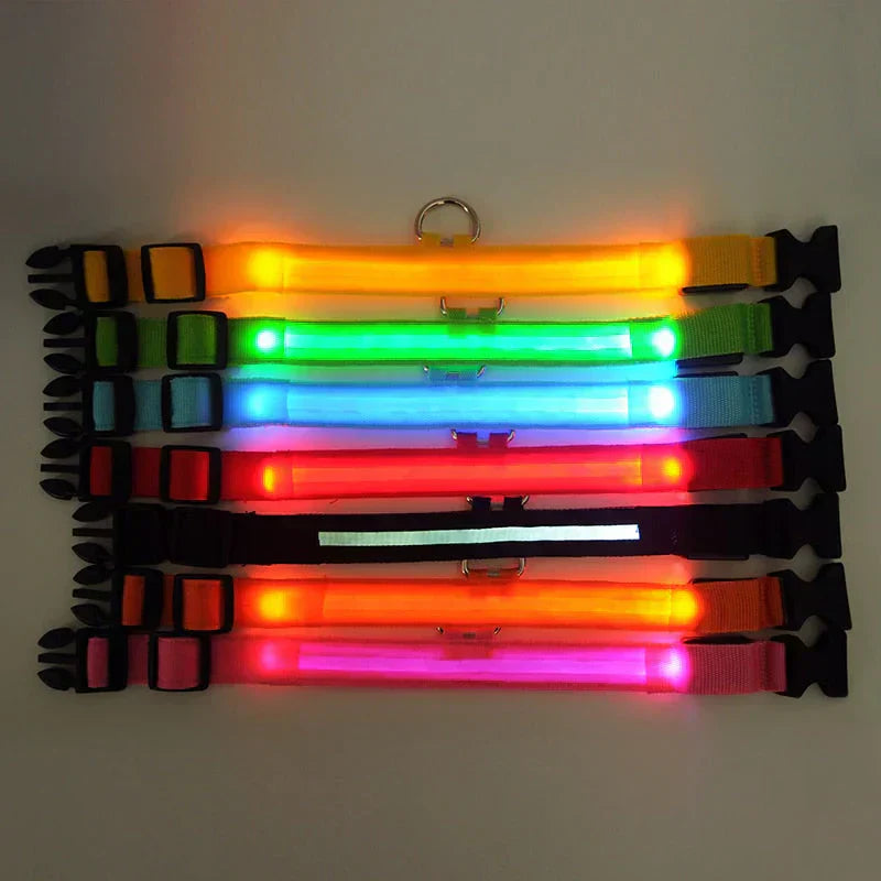 Glowing Pet LED Safety Collar