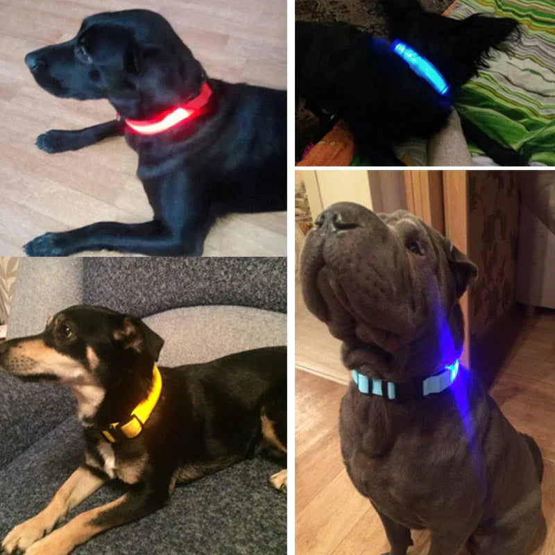 Glowing Pet LED Safety Collar