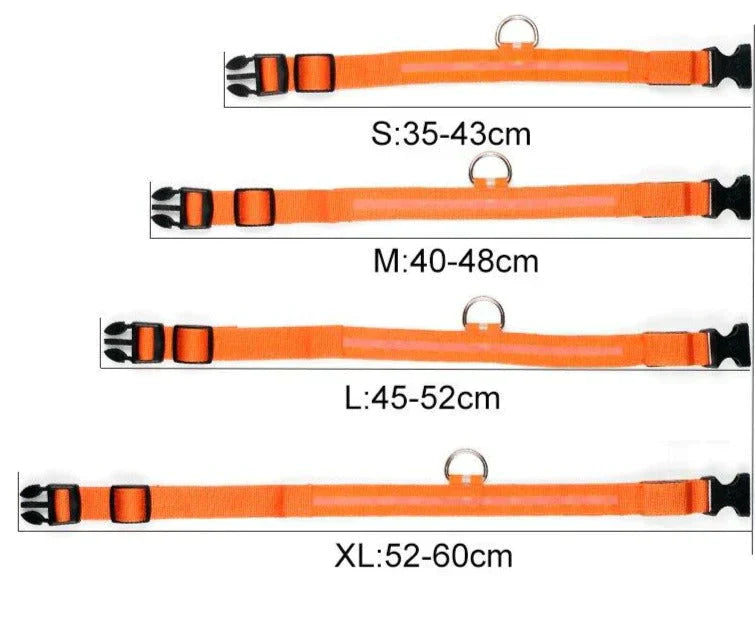 Glowing Pet LED Safety Collar