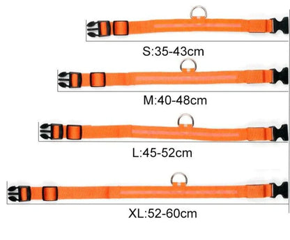 Glowing Pet LED Safety Collar